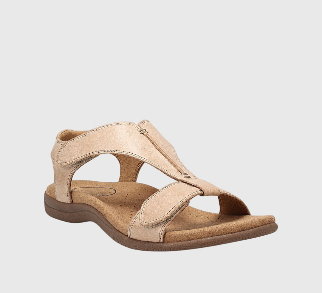 Beige / 12