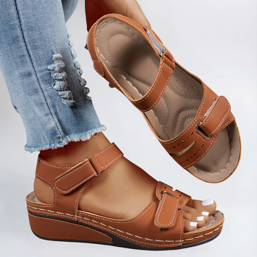 Brown / 11