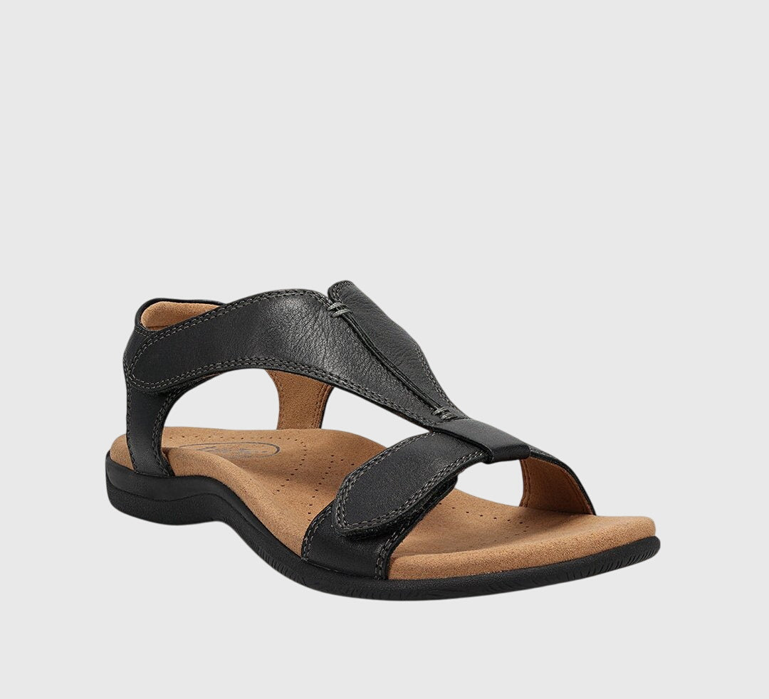 Black / 12