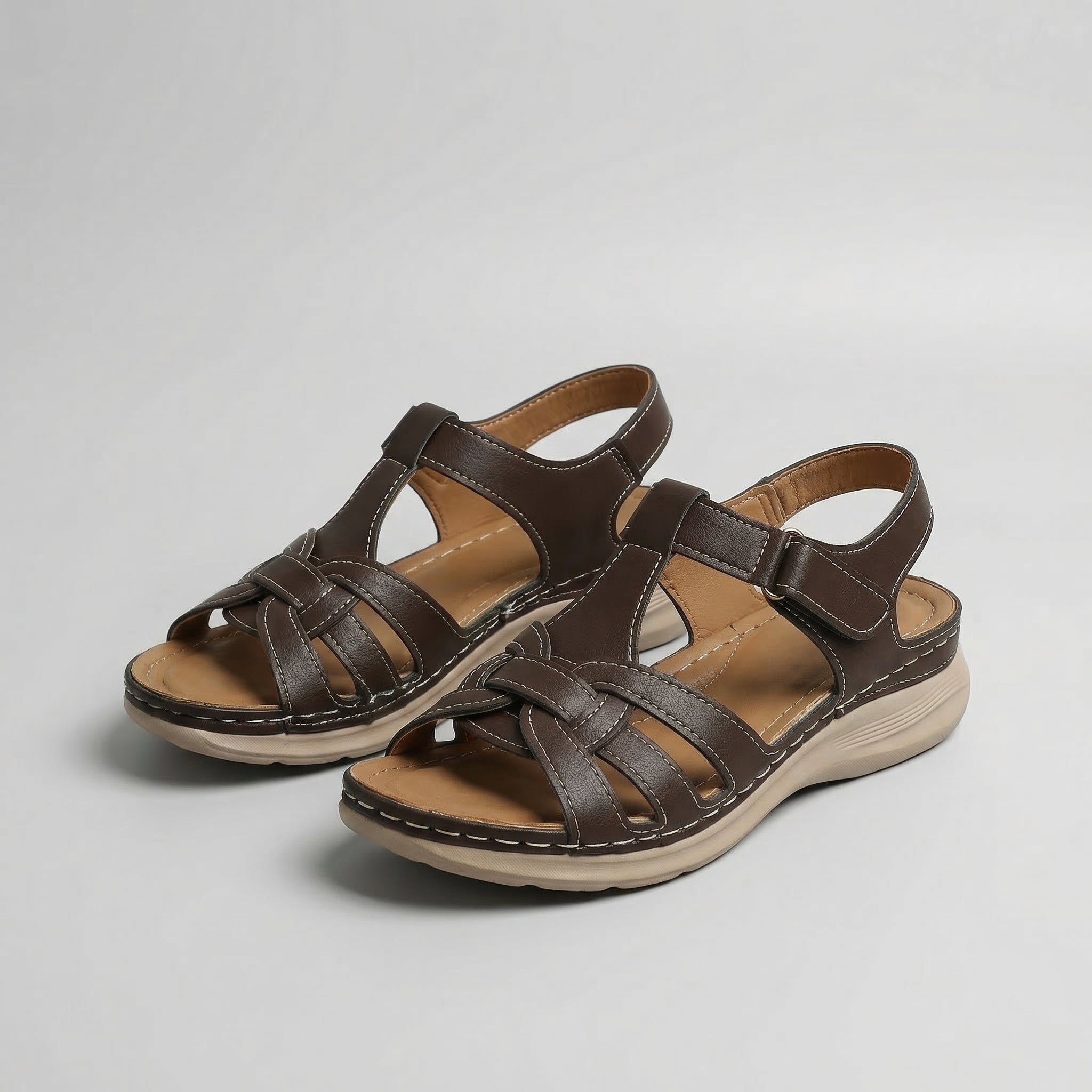 Dark Brown / 12